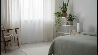 How Temporary Humidity-Defying Deco Strategies Keep Rented Bedrooms Fresh During Dark Cloudy Days