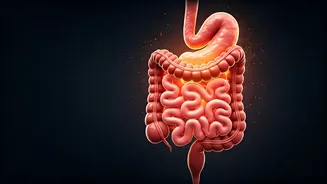 Your Gut Might Be Running The Show