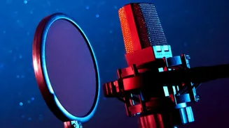 How To Train Lightweight AI Plugins To Copy Your Personal Professional Voice