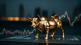 Navigating the Indian Investment Landscape: A Comprehensive Guide