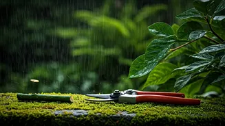 Pruning Is The Shortcut To Cleaner Monsoon Gardens