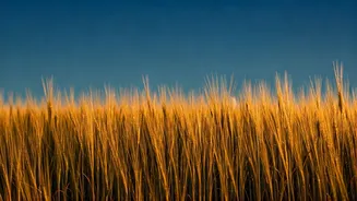 धनु राशि: नए आरंभ की राह