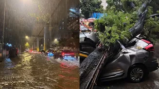 Mumbai rains: IMD issues orange alert after overnight downpour; waterlogging in many areas, rail services disrupted