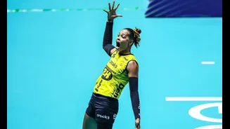 Superliga Feminina 2026/27: conheça os seis favoritos na briga pelo título