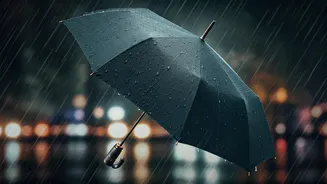 Compact Umbrellas Are Small But Powerful Travel Tools