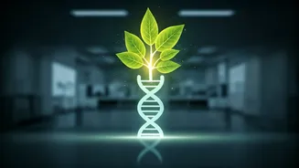 Ayurveda's Role in TB Recovery: India's Groundbreaking Clinical Trial