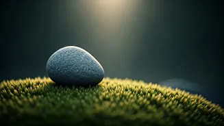 Calm Habits Are More Useful Than Wellness Noise