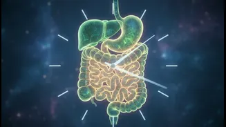 Why Nutrition Experts Are Talking About Chrononutrition And Digestive Health