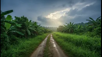 Why Leisure Drivers Are Swapping Traditional Expressways For Offbeat Scenic Routes This Shravan Month