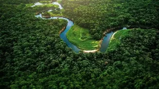 Offbeat Forest Circuits Near Bhubaneswar Offer Quick Weekend Escape Routes Today