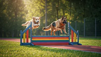 Dogs Are Joining India’s Fitness Community Culture