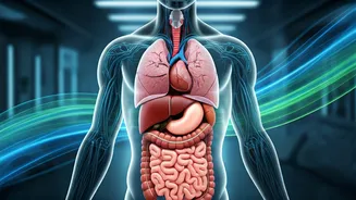 Beyond the Scale: Unlocking Metabolic Health Through Body Composition