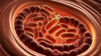 Why Modern Pet Wellness Ecosystems Focus Heavily On Gut Health