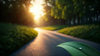 Walking After Dinner May Be Your Simplest Wellness Habit