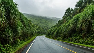 The Konkan Coast Is June’s Road-Trip Crush