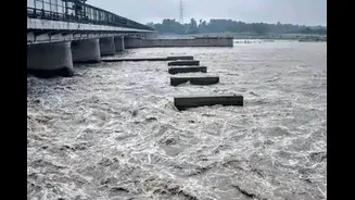 Yamuna Is Already Polluted Before Entering Delhi, Gurgaon To Blame For 70% Of It: Report