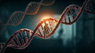 Feline Genomics: Unlocking Cancer Secrets and Novel Therapies for Both Cats and Humans