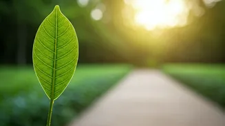 Vidyut Jammwal's Simple Fitness Secret for Busy Bees: Consistency Over Intensity