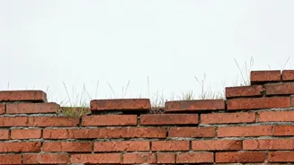 Early Career Struggles: Overcoming Challenges
