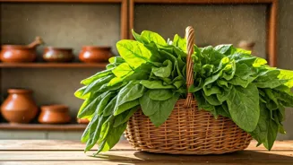 Spinach Stays Fresh For A Whole Month?