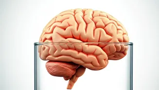 Boost Your Brainpower: A Simple Exercise Secret