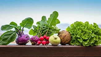 Sow These 6 Vegetables for Winter Harvest Now.