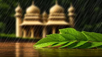 Is Your Scalp Healthy This Monsoon Season?