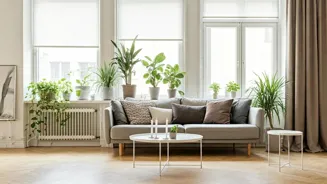 Home Improvement: Simple and Effective Ideas