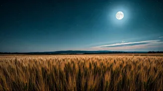 India's Guide to the Harvest Moon in 2025