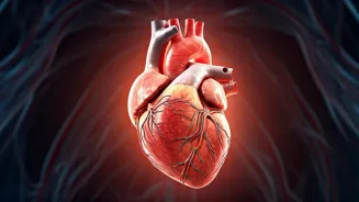 Is Overtraining Damaging Your Heart?