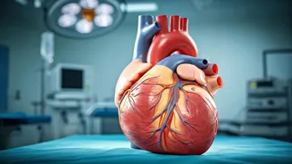 Know The Facts About Your Heart Health