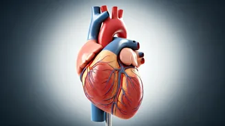 Indian Heart Health: Cardiologists' Simple Tips
