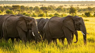 Visit Top Elephant Safari Park Destinations