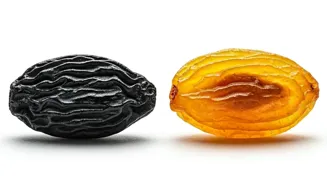 Which Raisin Is Healthier: Black or Yellow?