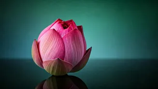 Learn Shilpa Shetty's Bhramari Pranayama