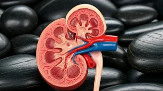 Can Ayurveda Help Dissolve Kidney Stones?