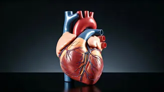 Do These Exercises for Healthy Blood Pressure
