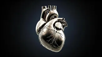 Heart Health: Speeding Up or Slowing Down?