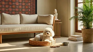 Low-Shedding Dogs: Top Breeds for Clean Homes