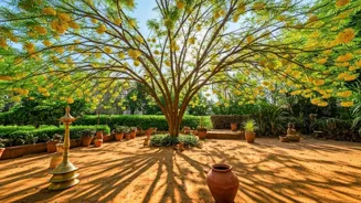 Kadamba Tree: Spiritual Meaning and Care Tips