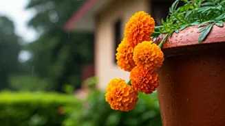 Monsoon Hair Loss: Causes and Solutions