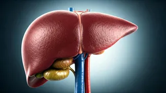 Is Your Liver Trying To Tell You Something?