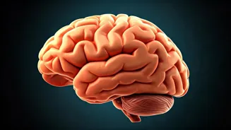 Boost Your Memory with These 5 Tips.
