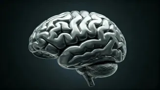 Sharpen Your Mind: Try These 8 Easy Exercises
