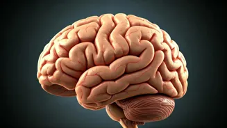 Daily Habit May Raise Stroke Risk, Doctor Warns
