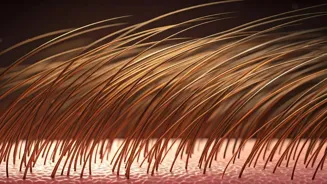 Learn The Truth About Dandruff And Your Scalp