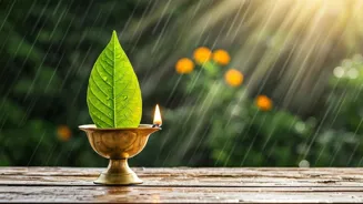 Stop Monsoon Hair Loss Now!