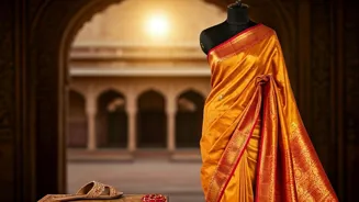 Bollywood Stars Shine in Iconic Saree Looks