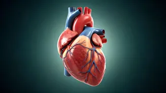Strengthen Your Heart With These Easy Steps.