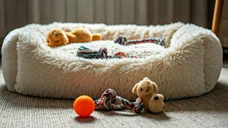 Bengaluru's Dog Lover Aunty Adopts Retrievers